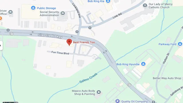 Map preview showing the location of Best Friendz Too Grooming in Winston-Salem, NC